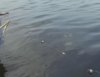 2016-04-01_214219.jpg