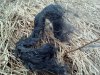 IMG_20160409_113942.jpg