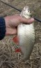 DSCN6034.jpg