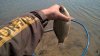 WP_20160415_12_14_30_Rich.jpg