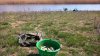 WP_20160415_14_06_15_Pro.jpg