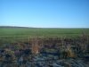 DSC01385.jpg