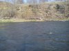 DSC01387.jpg
