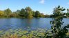 1 (21) - Barskoe.jpg