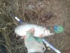 2016-04-19 18-16-53.jpg
