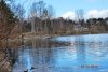 DSC_0010.jpg