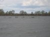 IMG_0043.JPG