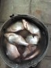 IMG_20160407_135806461.jpg