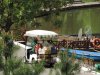 DSCN5049.jpg