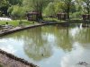DSCN5069.jpg