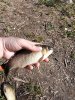 IMG_20160511_090326.jpg