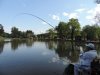 DSCN5204.jpg