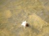 DSC04058.jpg