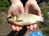 DSC04064.jpg