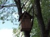 DSCN5232.jpg