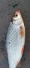 IMG_20160515_051456_889.jpg