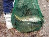 DSCN5407.jpg