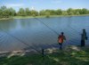 DSC08088.jpg