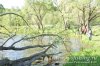 www.rusfishing.ru Рыбалка с Русфишинг ЩУЧЬИ ЗАБАВЫ 2016 весна - 265.jpg