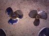 20160507_200642.jpg