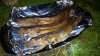 WP_20160514_019.JPG