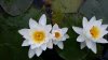 20160519_105452.jpg