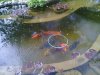 IMG_20160521_100622-800x600.jpg