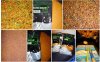 2016-05-23_12-28-13.jpg