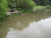 IMG_3829.JPG