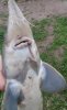 IMG_20160527_005740.jpg