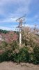 IMG-20160528-WA0002.jpg