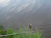 IMG_4255.JPG