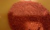 20160603_012300.jpg