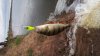 20160605_102644.jpg