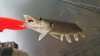 20160605_130759.jpg