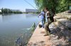 www.rusfishing.ru Рыбалка с Русфишинг Ловля карпа 2 тур ЛКЛ 2016 - 444.jpg