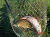 DSC00218.jpg