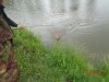 DSC00222.jpg
