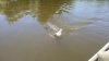 20160613_104035.jpg