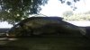 20160614_111530.jpg