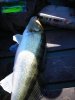 DSCN5797.jpg