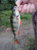 IMG_20160628_060133.jpg