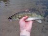 IMG_20160628_093115.jpg