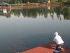 DSCN6196.jpg