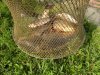 DSCN6238.jpg