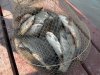 DSCN6249.jpg