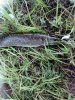 IMG_20160615_191314-480x640.jpg