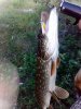 IMG_20160619_212710-480x640.jpg