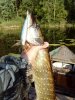 IMG_20160627_074220-480x640.jpg