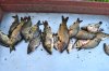 DSC_0086.JPG